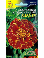 Семена Бархатцы Кармен Цветущий сад
